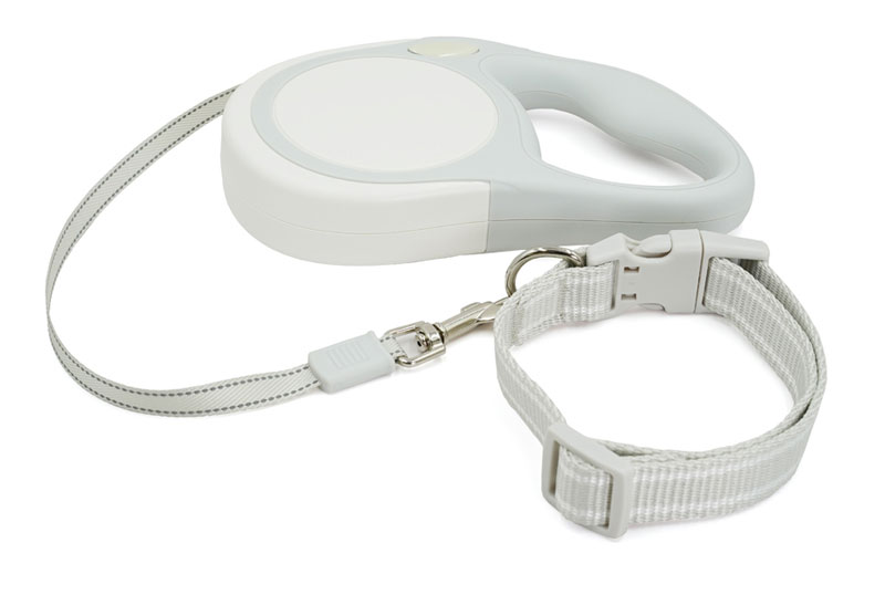 Retractable Dog Leash