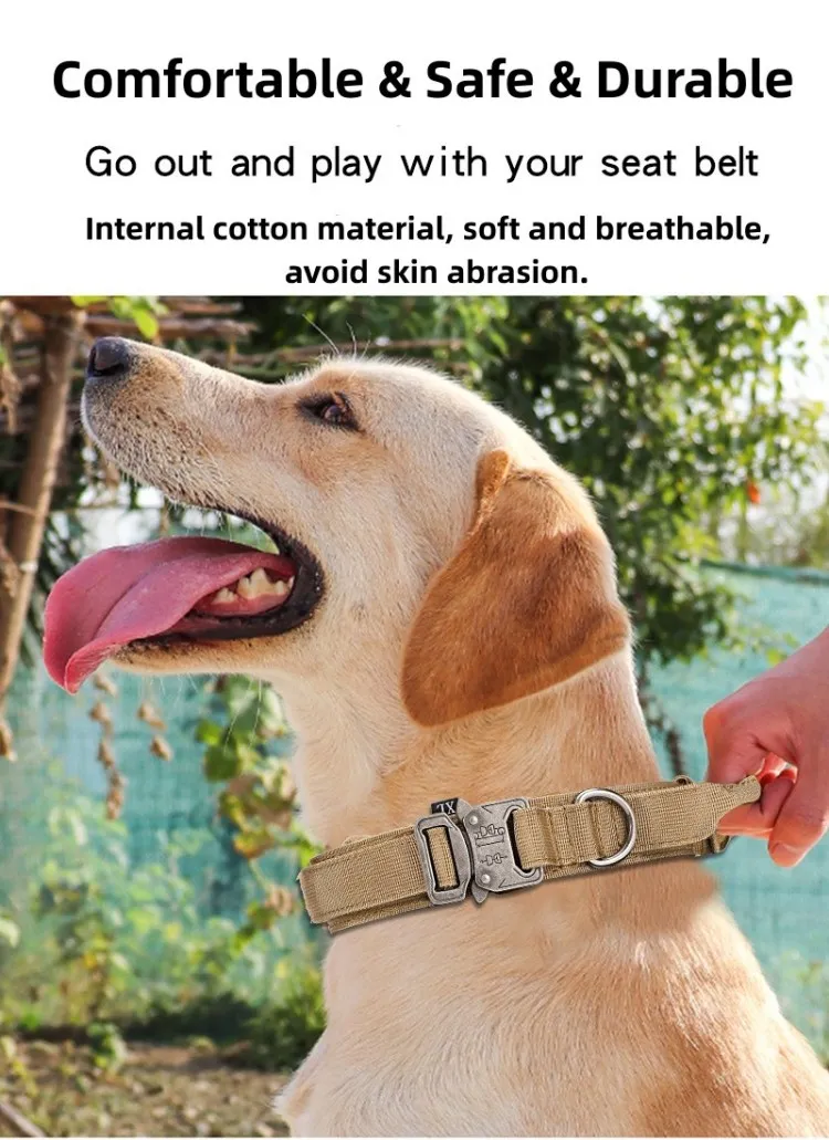 Heavy Duty Nylon Pet Collars