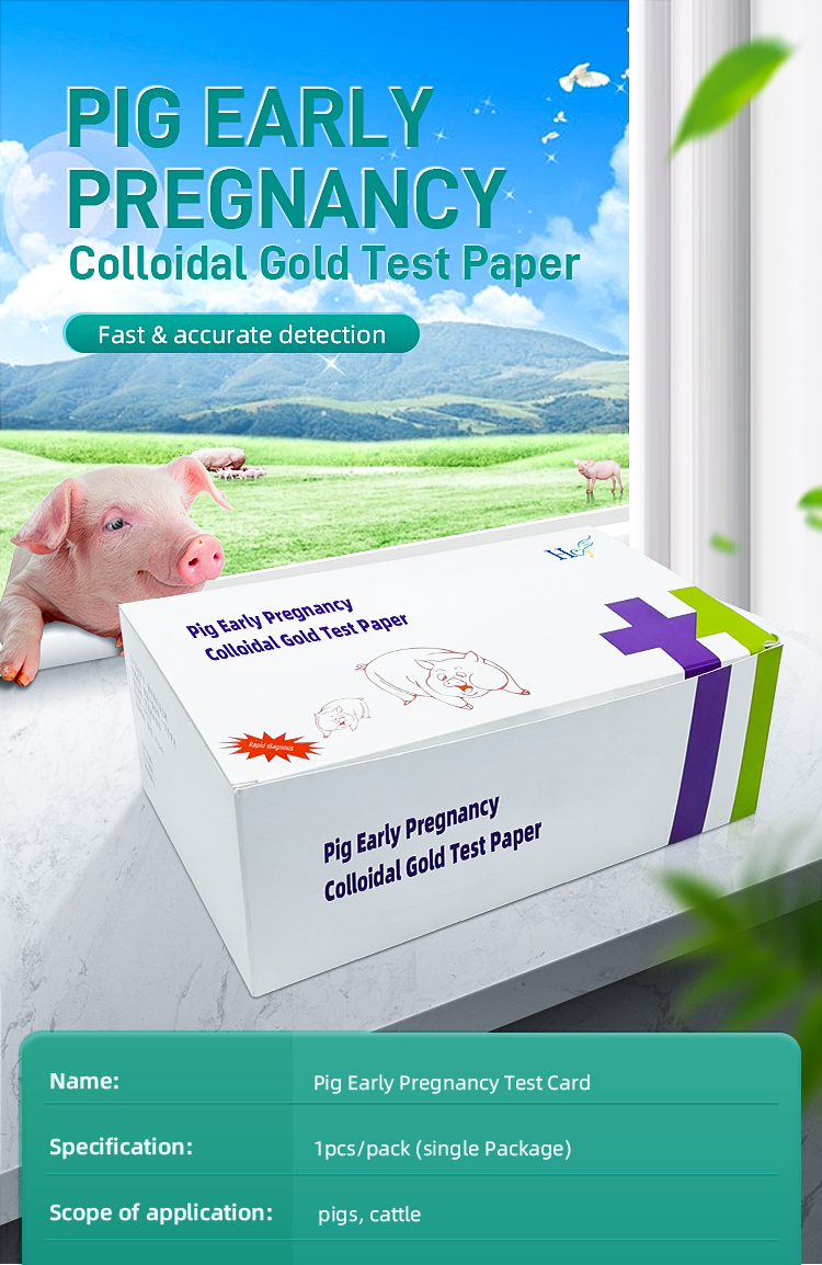 Pig pregnancy test