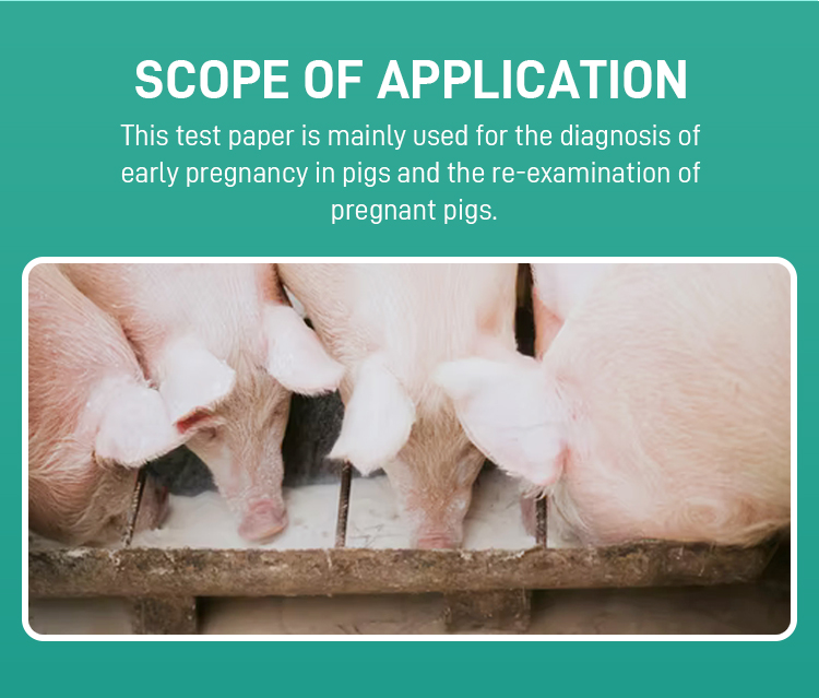 Pig pregnancy test