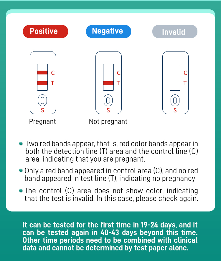 Pig pregnancy test
