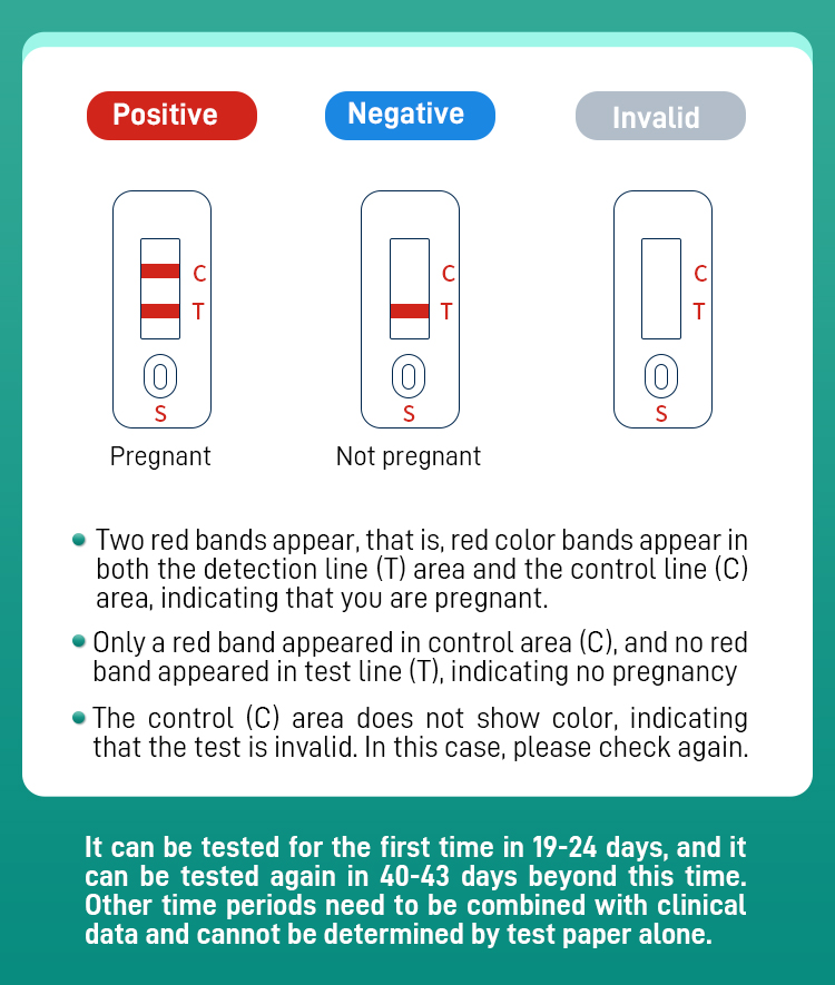 Cow pregnancy test