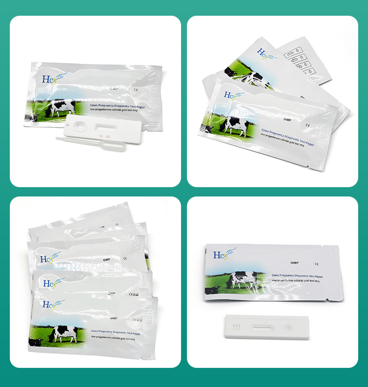 Cow pregnancy test
