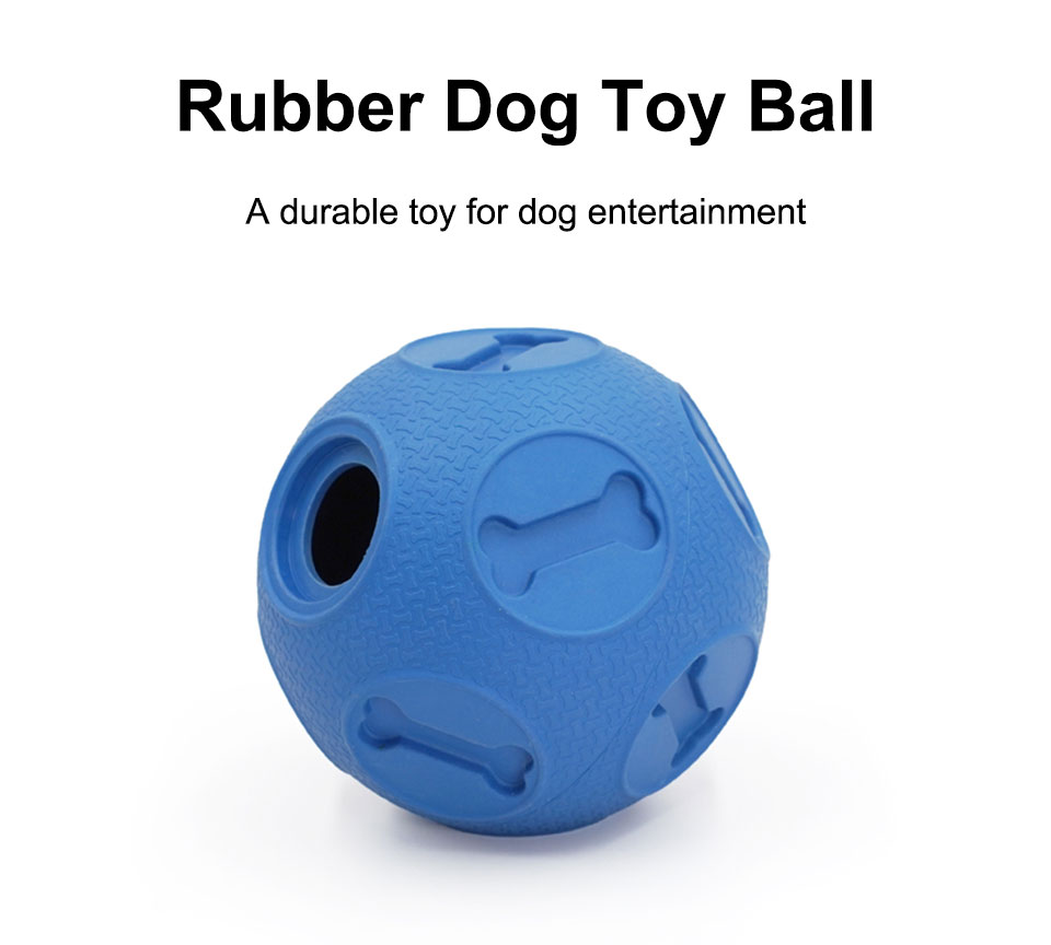 Dog Interactive Rubber Ball Toy