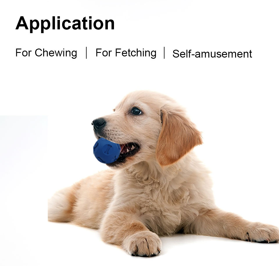 Dog Interactive Rubber Ball Toy