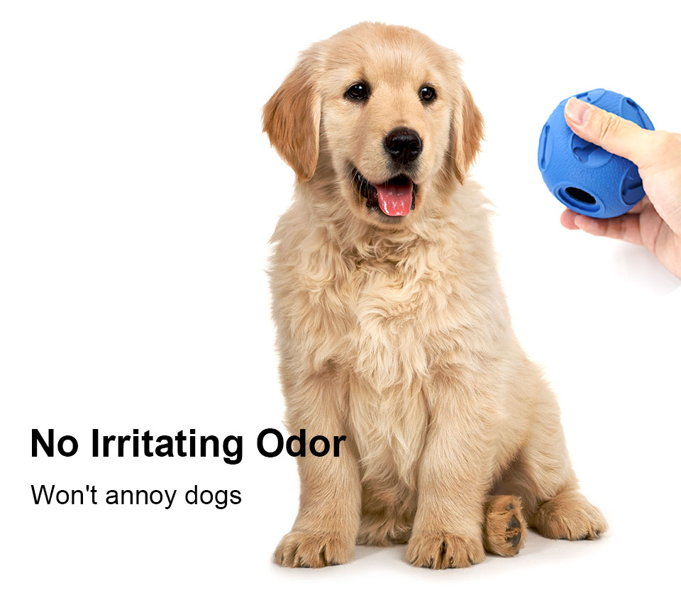 Dog Interactive Rubber Ball Toy